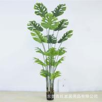 uploads/erp/collection/images/Home Garden/dgjiawang/XU0613012/img_b/XU0613012_img_b_5